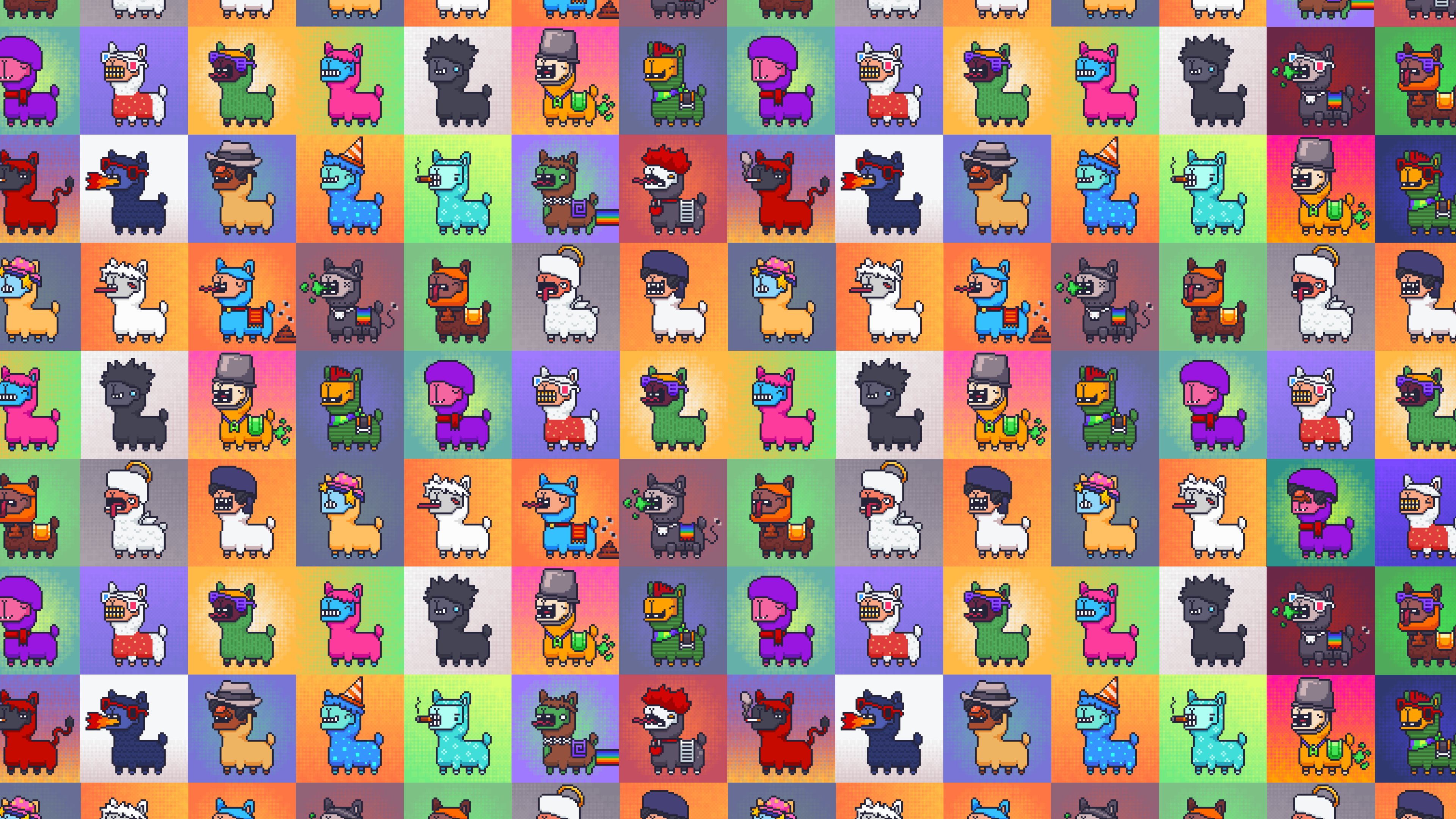 Alpaca Run